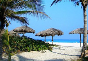 Let us take your booking worries away
